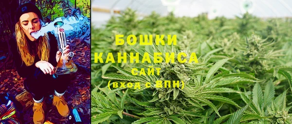ГАЛЛЮЦИНОГЕННЫЕ ГРИБЫ Балабаново