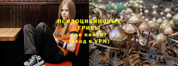 ГАЛЛЮЦИНОГЕННЫЕ ГРИБЫ Балабаново